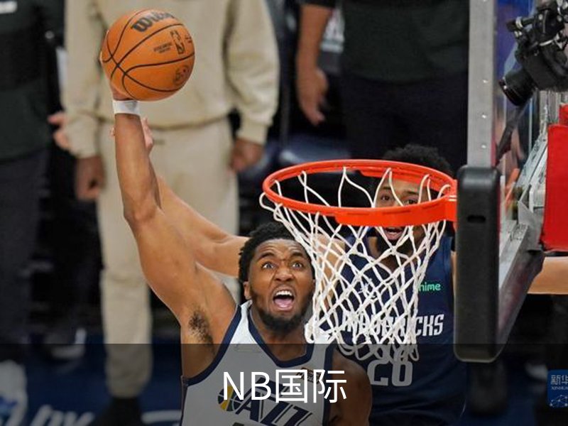 NB国际介绍